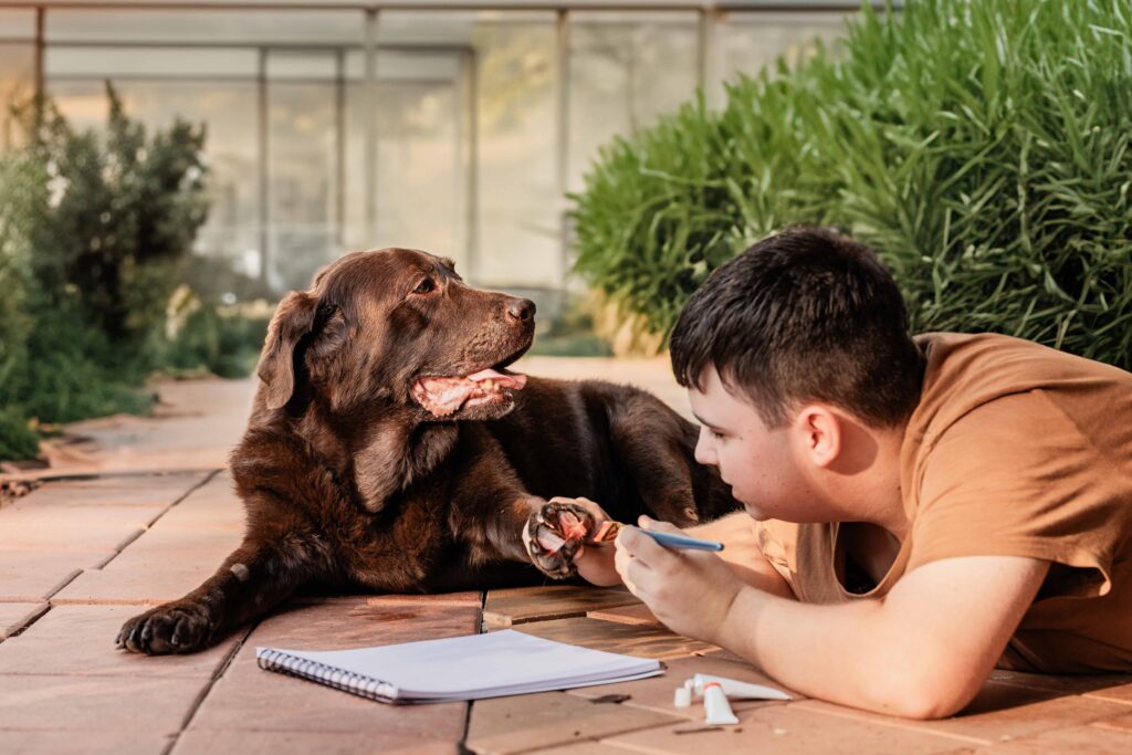 Young boy painting dogs paw print during end of life pet photography session before saying goodbye to pet.